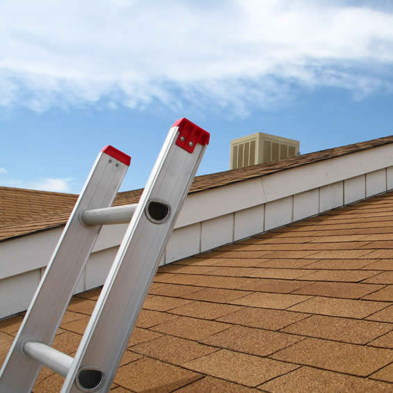 Metal ladder leaning against a roof for a home inspection in Florida, USA